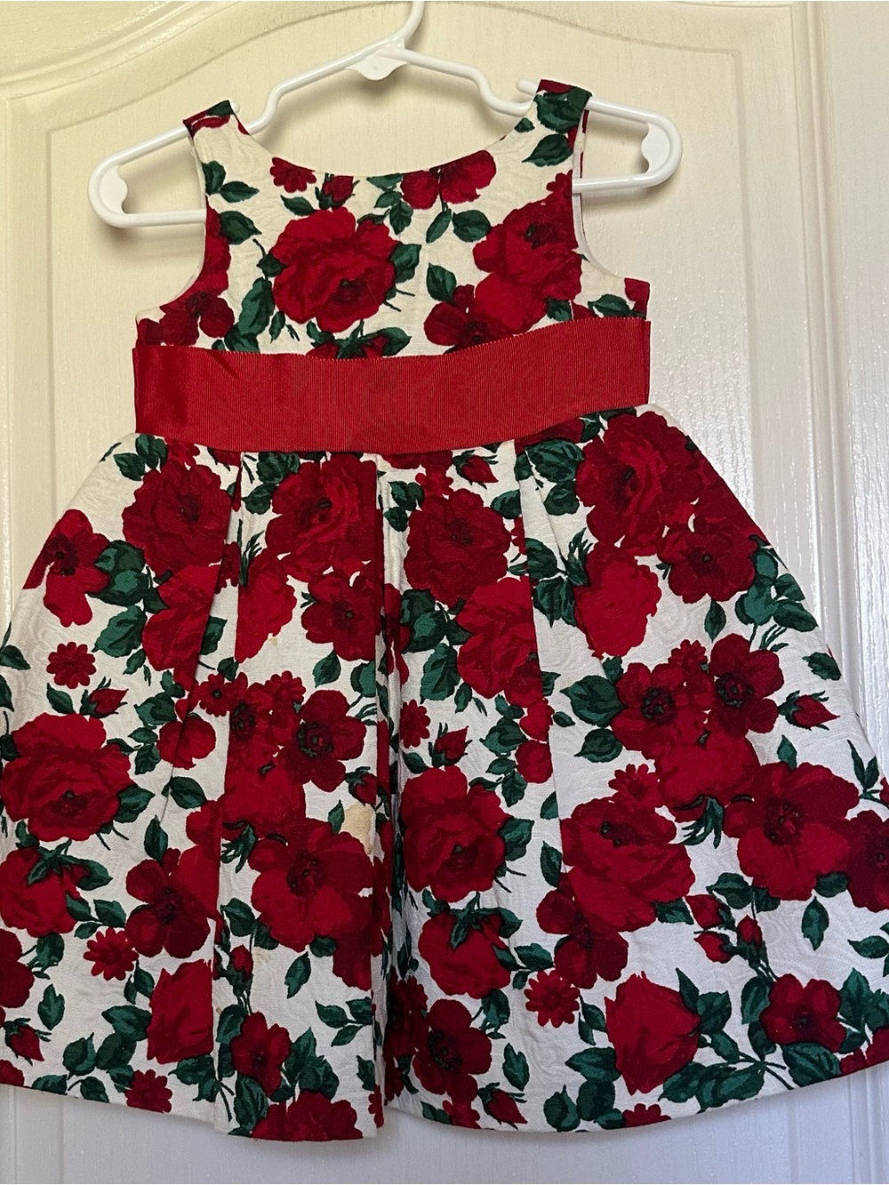 Janie and Jack Rose Floral Holiday Dress 12–18M
